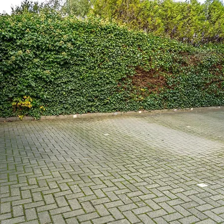 Haus Nordstrand Vereinsallee Appartement